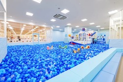 「【浜松周辺】11月29日・30日の今週末のおでかけにもおすすめ！人気スポットランキング」の写真