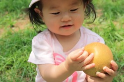 「【浜松周辺】11月29日・30日の今週末のおでかけにもおすすめ！人気スポットランキング」の写真