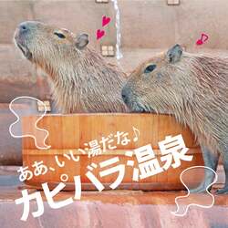 「2026年の干支「うま」と楽しむ年末年始！　千葉県のマザー牧場で開運イベント開催」の写真