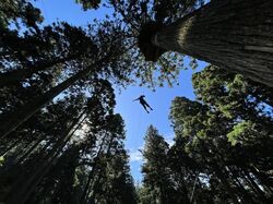 「【糸島周辺】11月29日・30日の今週末のおでかけにもおすすめ！人気スポットランキング」の写真