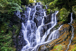 「【糸島周辺】11月29日・30日の今週末のおでかけにもおすすめ！人気スポットランキング」の写真