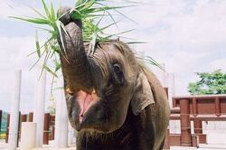 「【尾道周辺】11月29日・30日の今週末のおでかけにもおすすめ！人気スポットランキング」の写真