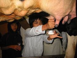 「【尾道周辺】11月29日・30日の今週末のおでかけにもおすすめ！人気スポットランキング」の写真