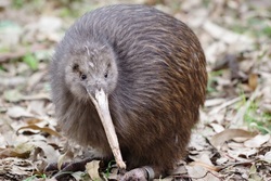 「【天王寺周辺】11月29日・30日の今週末おでかけにもおすすめ！人気スポットランキング」の写真