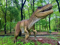 「【大阪城周辺】11月29日・30日の今週末おでかけにもおすすめ！人気スポットランキング」の写真