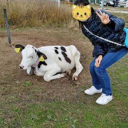 「【甲賀周辺】11月29日・30日の今週末のおでかけにもおすすめ！人気スポットランキング」の写真