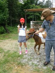 「【甲賀周辺】11月29日・30日の今週末のおでかけにもおすすめ！人気スポットランキング」の写真