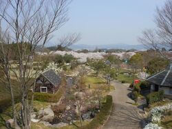 「【甲賀周辺】11月29日・30日の今週末のおでかけにもおすすめ！人気スポットランキング」の写真