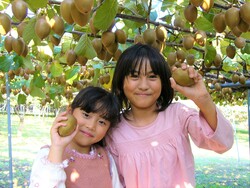 「【磐田周辺】11月29日・30日の今週末のおでかけにもおすすめ！人気スポットランキング」の写真