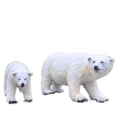 「水も電気も使わないエコスケート！　ウィング久里浜でクリスマスイベント開催」の写真