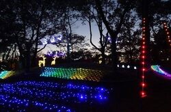 「【2025-2026】東海の人気＆大規模イルミネーション10選！親子におすすめの光の祭典」の写真