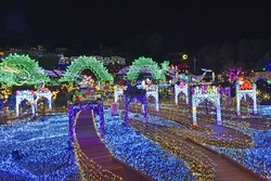 龍の大冒険（ドラゴンアドベンチャー）