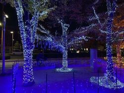 「【2025広島】最高の思い出作りに♪親子で楽しめるおすすめクリスマスイベント10選」の写真