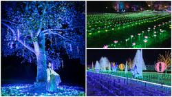 「【2025-2026】東海の人気＆大規模イルミネーション10選！親子におすすめの光の祭典」の写真