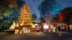 「横浜赤レンガ倉庫のクリスマスマーケット無料エリアに「ポケモン」ブース登場！」の写真