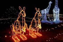 「福岡「国営海の中道海浜公園」でクリスマス　キャンドル1万本の光の地上絵が楽しめる」の写真