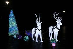 「福岡「国営海の中道海浜公園」でクリスマス　キャンドル1万本の光の地上絵が楽しめる」の写真