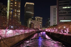 「【2025-2026】東京の人気＆大規模イルミネーション14選！　親子におすすめの光の絶景」の写真