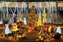 2024年のイルミネーション