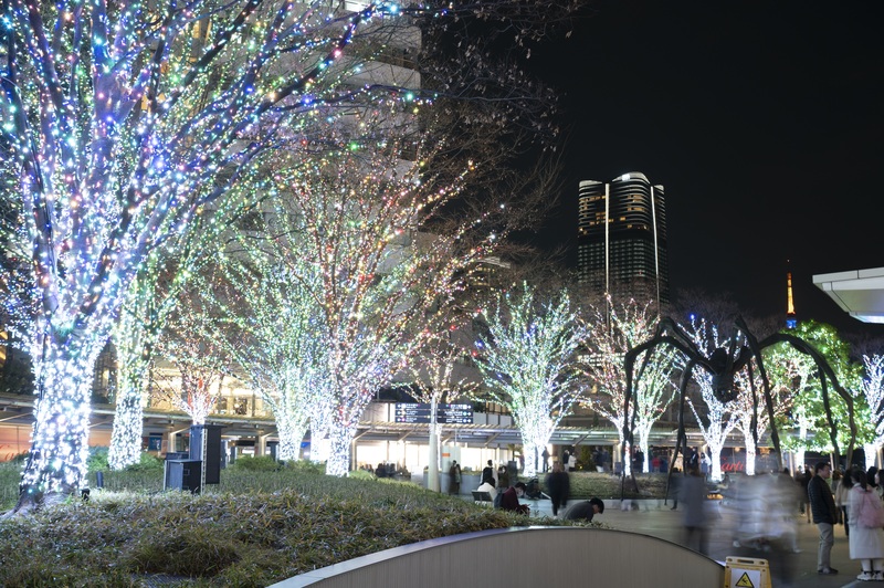 「Luminous Bouquet」（過去の様子）