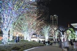 「Luminous Bouquet」（過去の様子）