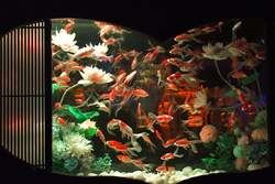 「銀座三越に金魚と花の幻想世界！　『アートアクアリウム美術館 GINZA』で冬の特別展」の写真