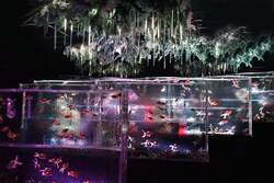 「銀座三越に金魚と花の幻想世界！　『アートアクアリウム美術館 GINZA』で冬の特別展」の写真