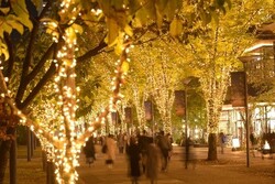 「【2025-2026】東京の人気＆大規模イルミネーション14選！　親子におすすめの光の絶景」の写真