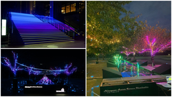 「【2025-2026】東京の人気＆大規模イルミネーション14選！　親子におすすめの光の絶景」の写真