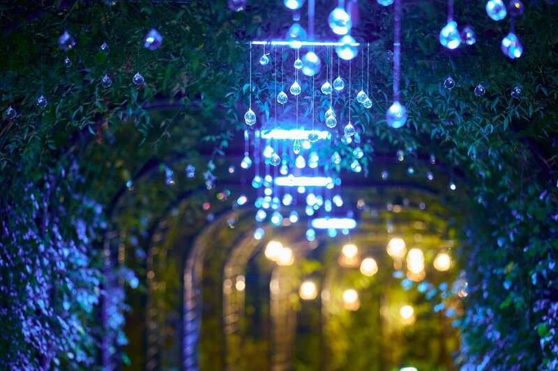 Moonlight Rose Garden2025〜灯りと光のまほうにかかる時間（とき）ウィンターイルミネイト