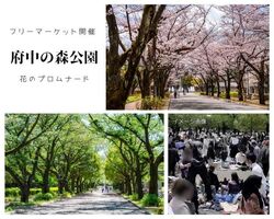 府中の森公園フリーマーケット│(C)リサイクル運動市民の会