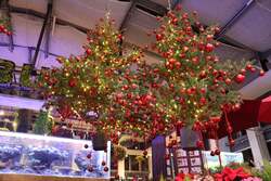 「宙に浮かぶクリスマスツリーと冬咲きチューリップが彩る！フラワーパークのクリスマス」の写真