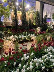 「宙に浮かぶクリスマスツリーと冬咲きチューリップが彩る！フラワーパークのクリスマス」の写真