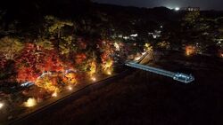 東公園紅葉まつり／岡崎市