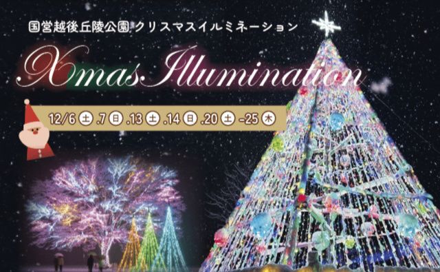 国営越後丘陵公園 Xmasイルミネーション│（ｃ）国営越後丘陵公園