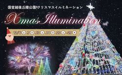 国営越後丘陵公園 Xmasイルミネーション│（ｃ）国営越後丘陵公園