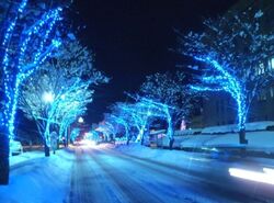 見附市街路樹イルミネーション2025│（C）見附市