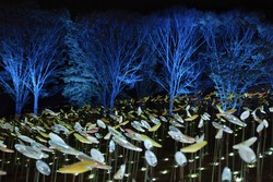 「2,000本の風の花びら」日中は陽の光を受けてキラキラと輝き、夜は幻想的な灯りで園内を彩ります