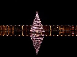 グラナリエ2025 in グラントワ／過去の様子