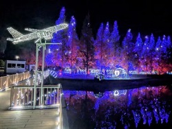 「【2025-2026】関東の人気＆大規模イルミネーション18選！　親子におすすめの光の絶景」の写真