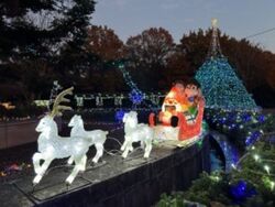 クリスマスイルミネーション＆電飾トレイン（とちぎわんぱく公園）