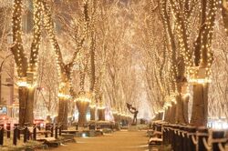 「【仙台市】2025年12月6日・7日の今週末に楽しめるイベント6選　無料イベントも！」の写真