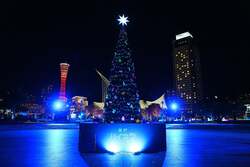 「神戸の夜空を彩る光のクリスマス体験！　ドローンショーとイルミネーション」の写真