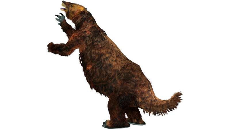 メガテリウム復元図 （巨大なナマケモノ）