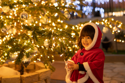 「子供と行きたいイルミネーションランキング発表！気になる１位のスポットは？」の写真