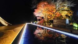 碧テラス煌めく紅葉ライトアップ＆駿河湾サンセット鑑賞／伊豆パノラマパーク