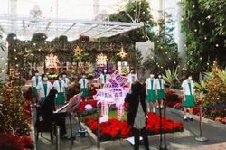 クリスマスコンサート｜過去の様子