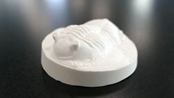 わくわく科学工作「化石のレプリカ〜三葉虫１〜」｜つくった作品はお持ち帰りできます