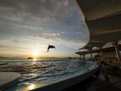 「四国から広島、兵庫、静岡まで！4つの水族館を巡る「魚朱印de水族館巡り」がスタート」の写真