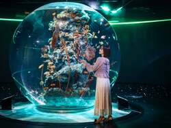 「四国から広島、兵庫、静岡まで！4つの水族館を巡る「魚朱印de水族館巡り」がスタート」の写真